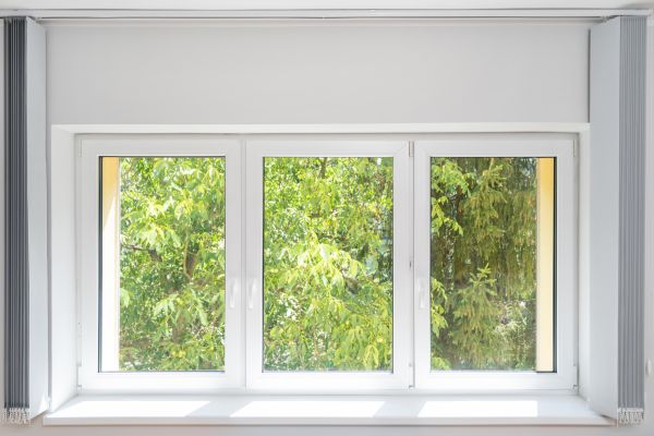 Windows Replacement in Dunedin