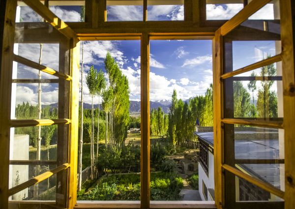 Wood Window Replacement in Dunedin