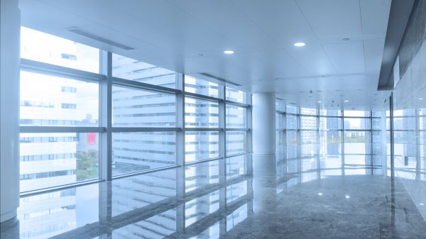 Commercial Window Replacement in Dunedin