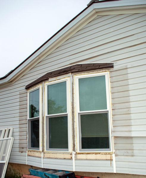Bay Window Replacement in Dunedin